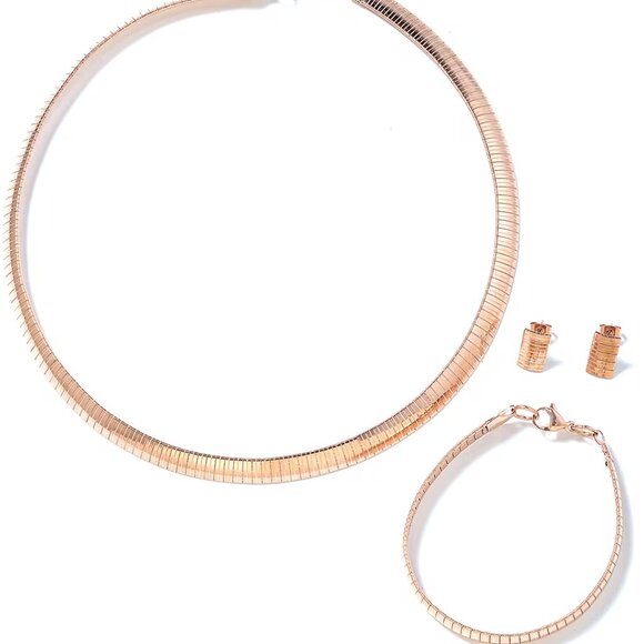 Set of 3 Omega Necklace 18 Inches and Bracelet (7.50in) and Earrings in ION Plat - Picture 1 of 4
